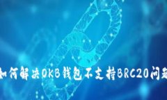 如何解决OKB钱包不支持B