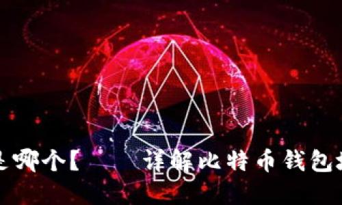 比特币钱包地址是哪个？——详解比特币钱包地址及其使用方法