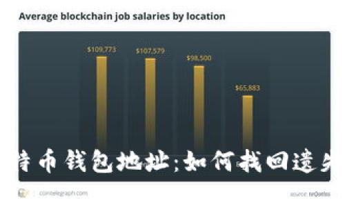 被遗忘的比特币钱包地址：如何找回遗失的加密货币