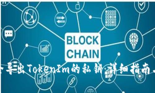: 如何安全导出TokenIm的私钥:详细指南与注意事项