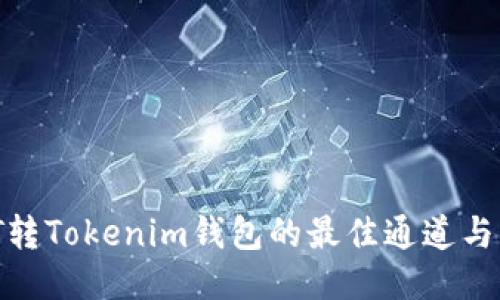 币安DOT转Tokenim钱包的最佳通道与操作指南