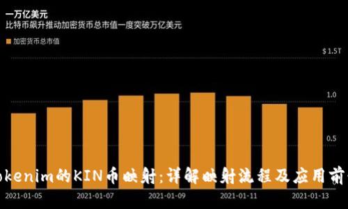 Tokenim的KIN币映射：详解映射流程及应用前景