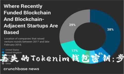 如何找回丢失的Tokenim钱包密钥：步骤与建议