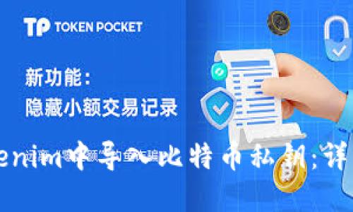 如何在Tokenim中导入比特币私钥：详细操作指南