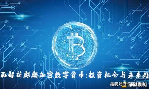 全面解析麒麟加密数字货币：投资机会与未来趋势