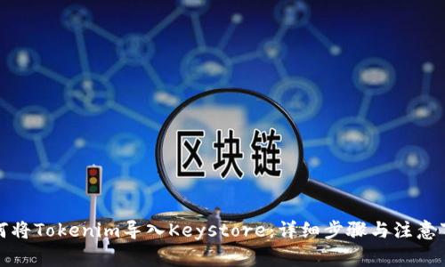 如何将Tokenim导入Keystore：详细步骤与注意事项
