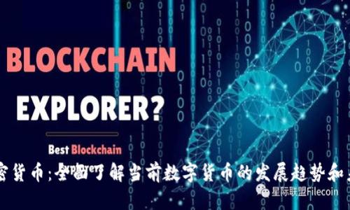 维基加密货币：全面了解当前数字货币的发展趋势和未来潜力
