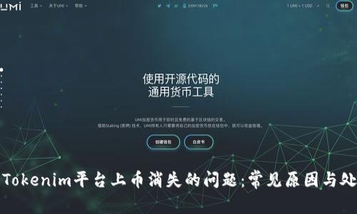 : 解决Tokenim平台上币消失的问题：常见原因与处理方法