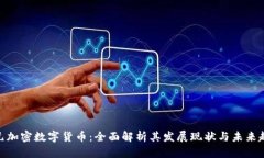 金元加密数字货币：全面