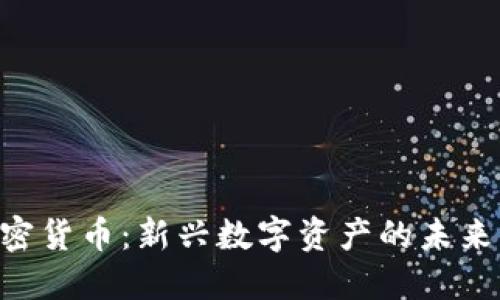 DNS加密货币：新兴数字资产的未来与机会