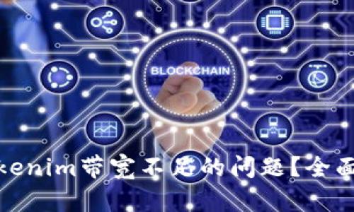 如何解决Tokenim带宽不足的问题？全面指南与策略