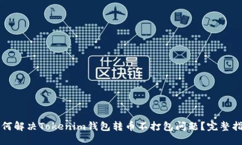 如何解决Tokenim钱包转币不打包问题？完整指南