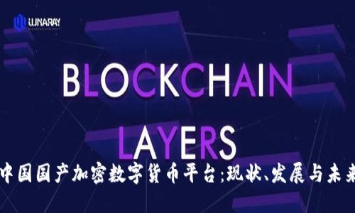 中国国产加密数字货币平台：现状、发展与未来
