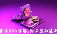 加密货币BSA详解：你必须