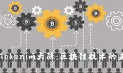 深入解析Tokenim大陆：区块链技术的未来与应用
