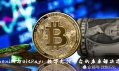 Tokenim与BitPay: 数字支付平台的未来解决方案