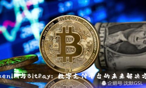 Tokenim与BitPay: 数字支付平台的未来解决方案