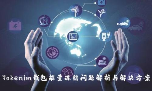 Tokenim钱包能量冻结问题解析与解决方案