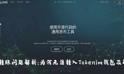 CTXC币转账问题解析：为何无法转入Tokenim钱包及解决方案