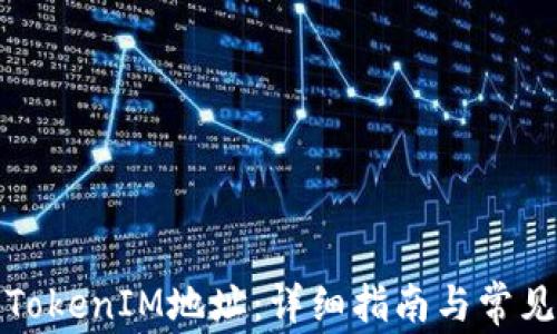 
如何查看TokenIM地址：详细指南与常见问题解答