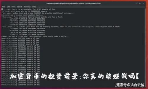 加密货币的投资前景：你真的能赚钱吗？