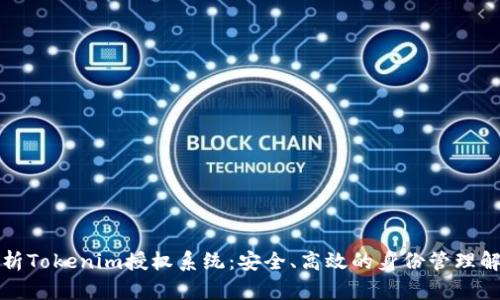 全面解析Tokenim授权系统：安全、高效的身份管理解决方案