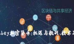 全面解析Abey加密货币：机