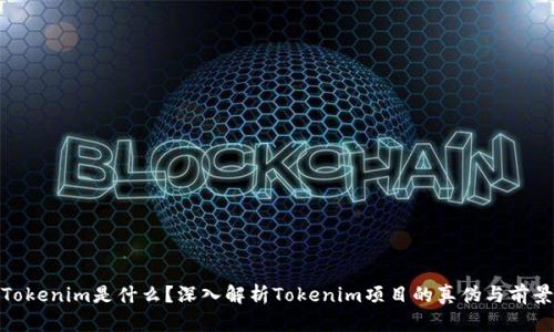 Tokenim是什么？深入解析Tokenim项目的真伪与前景
