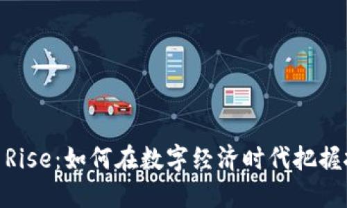 加密货币Rise：如何在数字经济时代把握投资机会