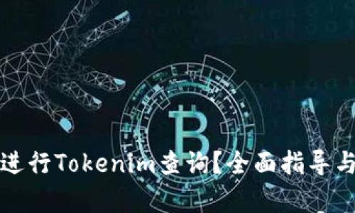 如何进行Tokenim查询？全面指导与分析