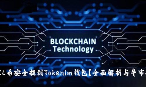 如何将FIL币安全提到Tokenim钱包？全面解析与牛市投资策略