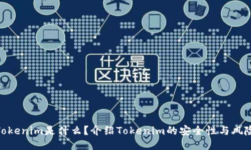 Tokenim是什么？介绍Tokenim的安全性与风险