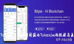 什么是Tokenim？全面解析国