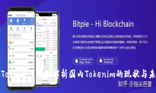 什么是Tokenim？全面解析国内Tokenim的现状与未来发展