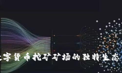 探索加密数字货币挖矿矿场的独特生态与未来趋势