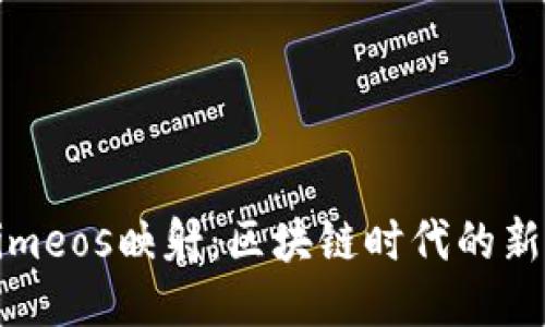 揭秘Tokenimeos映射：区块链时代的新机遇与挑战