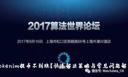 Tokenim提币不到账？快速解决策略与常见问题解析