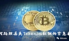 如何处理丢失Tokenim私钥的