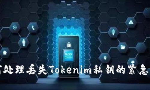 如何处理丢失Tokenim私钥的紧急指南