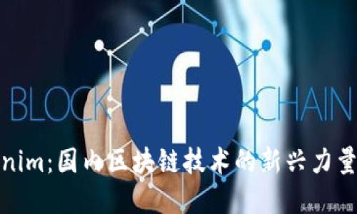 ​探秘Tokenim：国内区块链技术的新兴力量与市场机遇