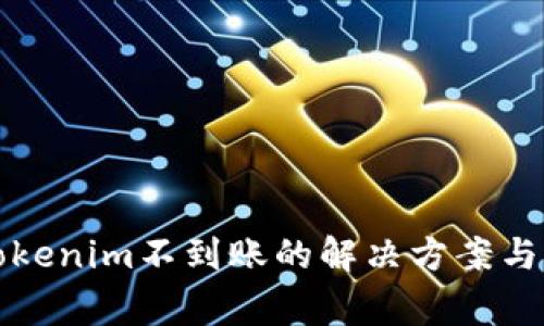 Bitz提币到Tokenim不到账的解决方案与常见问题解析