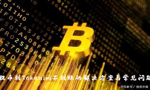 Bitz提币到Tokenim不到账的解决方案与常见问题解析