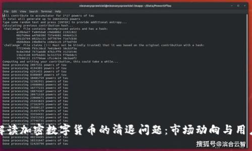 全面解读加密数字货币的清退问题：市场动向与用户保护