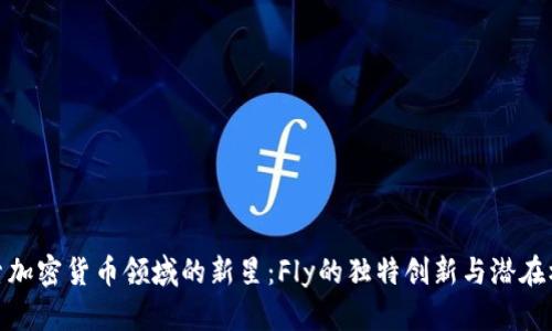 探索加密货币领域的新星：Fly的独特创新与潜在机遇
