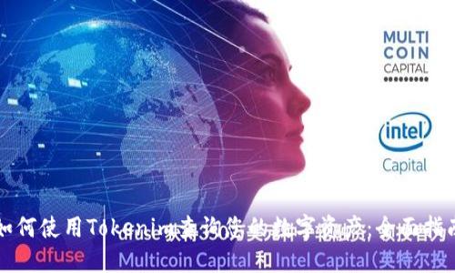 如何使用Tokenim查询您的数字资产：全面指南