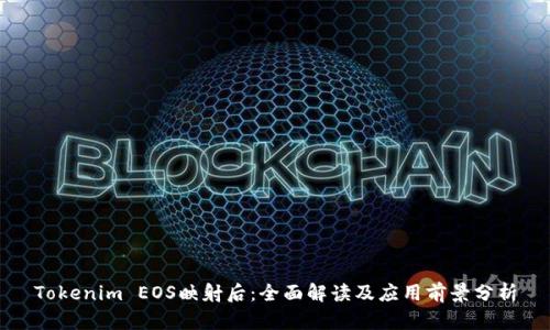 Tokenim EOS映射后：全面解读及应用前景分析