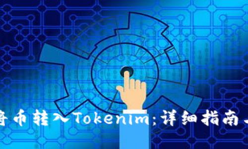如何将币转入Tokenim：详细指南与技巧