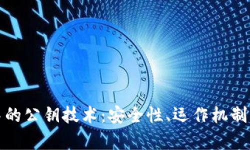 加密货币中的公钥技术：安全性、运作机制及应用解析