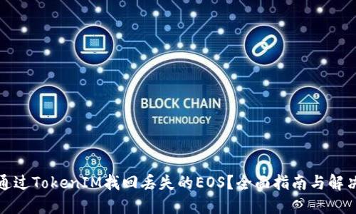 如何通过TokenIM找回丢失的EOS？全面指南与解决方案