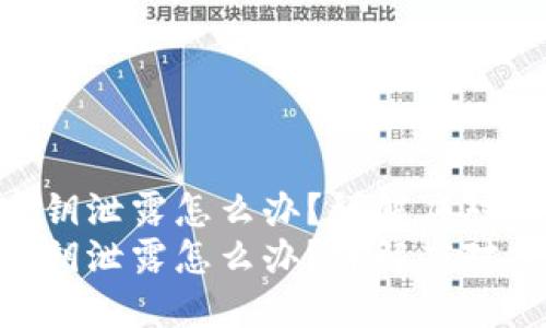 tokenim钱包密钥泄露怎么办？详解应对措施与保护策略
tokenim钱包密钥泄露怎么办？详解应对措施与保护策略